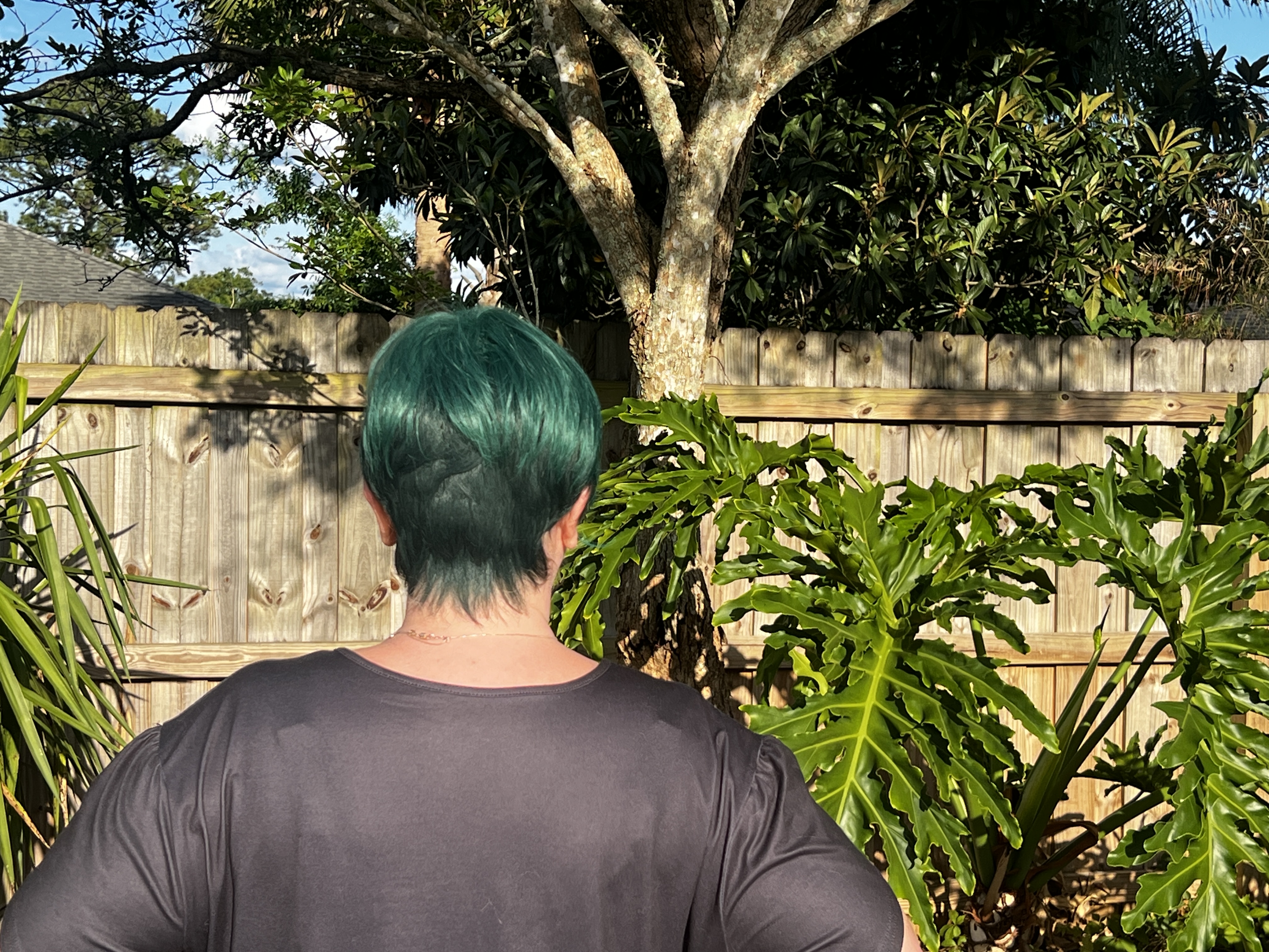 Green Ombre Pixie Back
